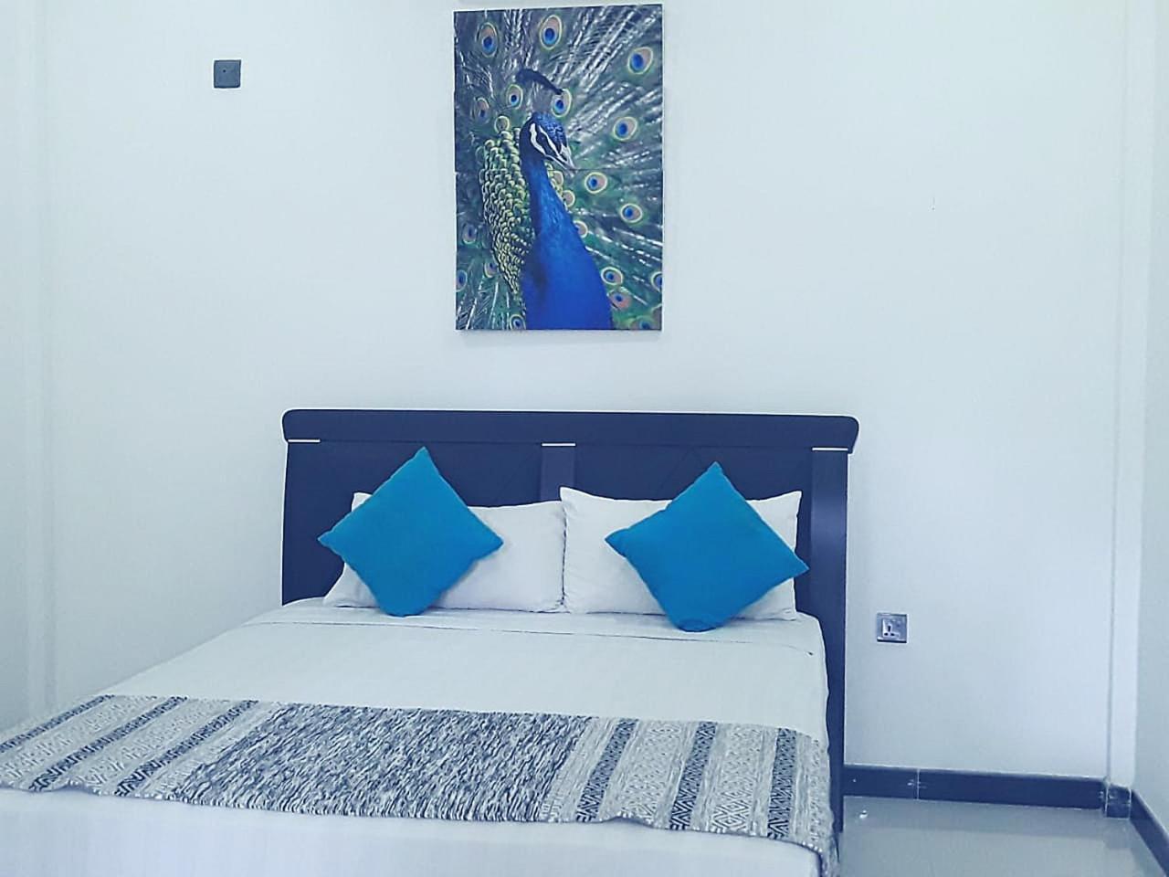 My Home Guest بولاناروفاي المظهر الخارجي الصورة