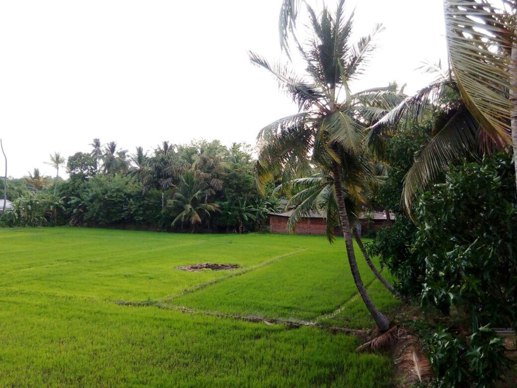 My Home Guest بولاناروفاي المظهر الخارجي الصورة
